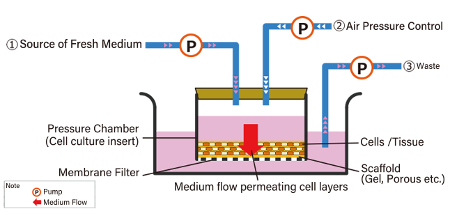 Usage 3D Perfusion Unit