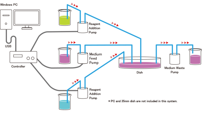 Sample configuration Live Cell Imaging Fluidic System